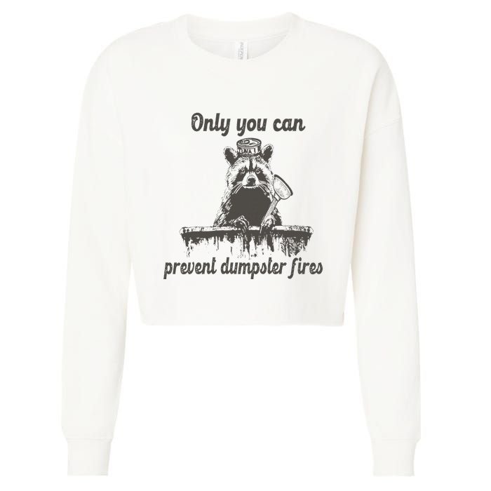 Only You Can Prevent Dumpster Fires Raccoon Meme Cropped Pullover Crew