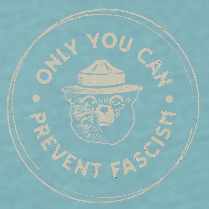 Only You Can Prevent Fascism Sueded Cloud Jersey T-Shirt