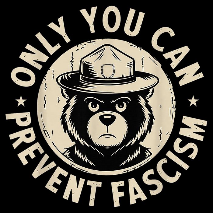 Only You Can Prevent Fascism Bear Toddler T-Shirt