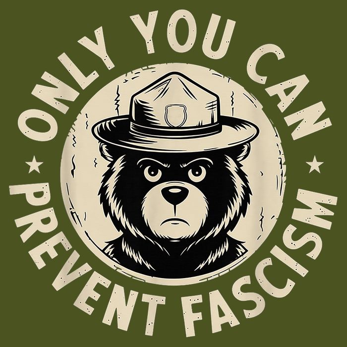 Only You Can Prevent Fascism Bear Premium T-Shirt