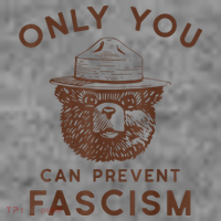 Only You Can Prevent Fascism Bear Toddler T-Shirt