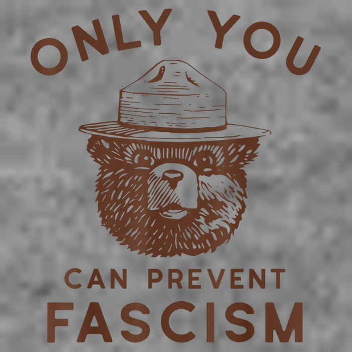 Only You Can Prevent Fascism Bear Cropped Pullover Crew
