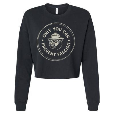 Only You Can Prevent Fascism Cropped Pullover Crew
