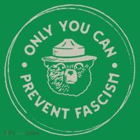 Only You Can Prevent Fascism Toddler Hoodie
