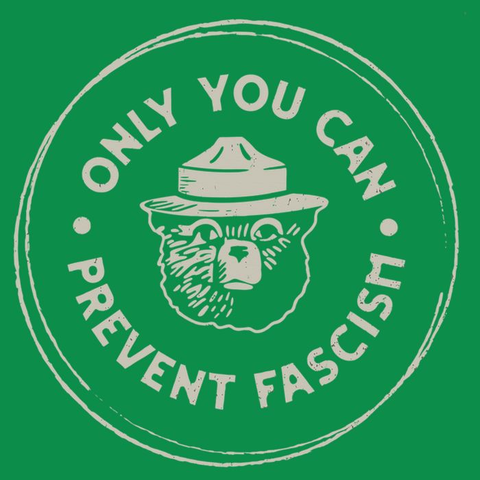 Only You Can Prevent Fascism Toddler T-Shirt