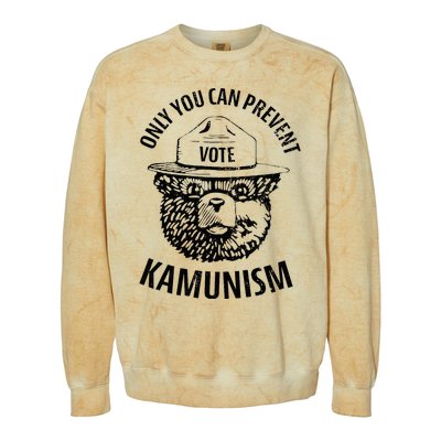 Only You Can Prevent Kamunism Communism Colorblast Crewneck Sweatshirt