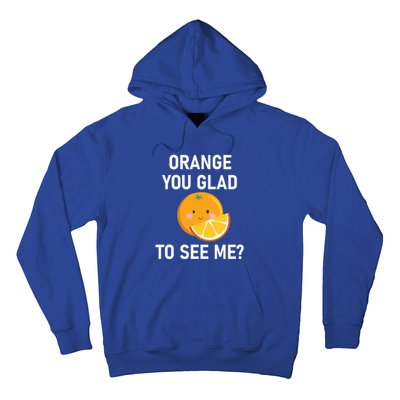 Orange You Glad To See Me Funny Sarcastic Corny Dad Jokes Gift Hoodie