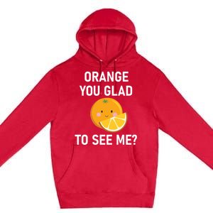 Orange You Glad To See Me Funny Sarcastic Corny Dad Jokes Gift Premium Pullover Hoodie