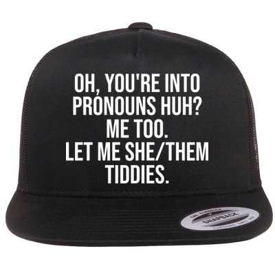 Oh Youre Into Pronouns Huh Me Too Let Me She Them Tiddies Funny Flatbill Hat