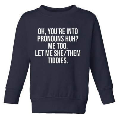 Oh Youre Into Pronouns Huh Me Too Let Me She Them Tiddies Toddler Sweatshirt