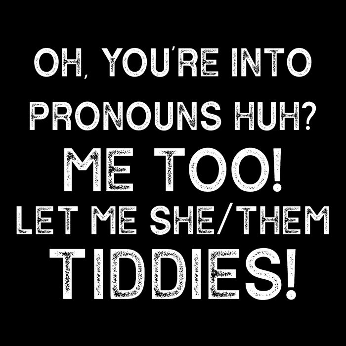 Oh Youre Into Pronouns Huh? Me Too Let Me She/Them Tiddies Vintage USA-Made Doggie Bandana