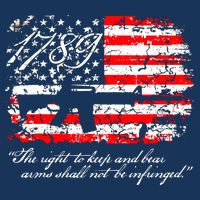 Patriotic 1789 American Flag 2nd Amendment Gun Rights AR15 Cooling Performance Crew T-Shirt