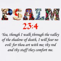 PSALM 23:4 Christin Bible Quote Cooling Performance Crew T-Shirt