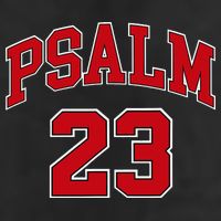 Psalm 23 Retro Sneakerhead Christian Bible Jesus Hat