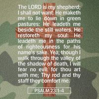 Psalm 23 The Book Of Psalms 2314 The Lord Is My Shepherd Legacy Tie Dye Trucker Hat