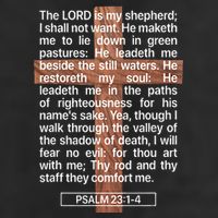 Psalm 23 The Book Of Psalms 2314 The Lord Is My Shepherd Cool Comfort Performance Bucket Hat
