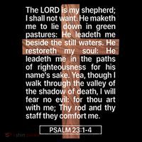 Psalm 23 The Book Of Psalms 2314 The Lord Is My Shepherd Flexfit Unipanel Trucker Cap