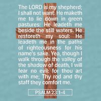 Psalm 23 The Book Of Psalms 2314 The Lord Is My Shepherd Sueded Cloud Jersey T-Shirt