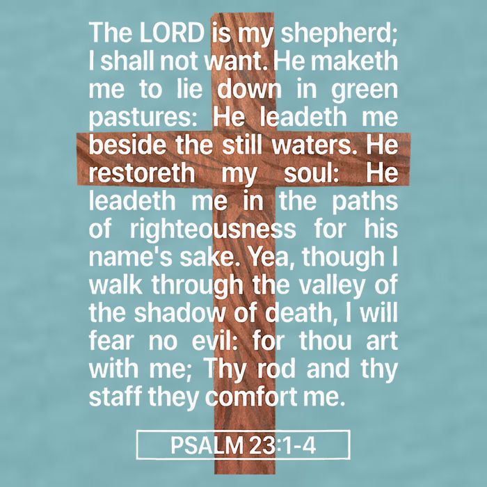 Psalm 23 The Book Of Psalms 2314 The Lord Is My Shepherd Sueded Cloud Jersey T-Shirt