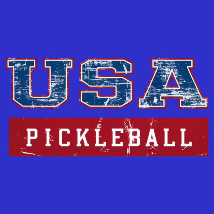 Pickleball 2024 Us Flag Patriotic American Sports Fan Usa Funny Gift 16 in Basic Backpack