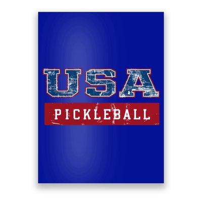 Pickleball 2024 Us Flag Patriotic American Sports Fan Usa Funny Gift Poster