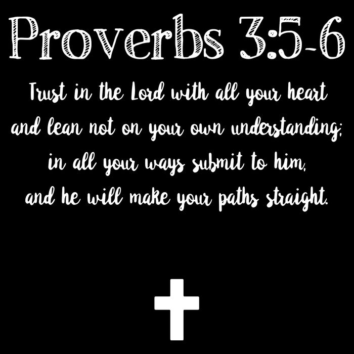 Proverbs 356 Bible Verse Scripture Christian Pullover Tall T-Shirt