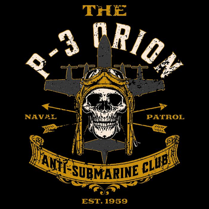 P 3 Orion Anti Submarine Aircraft Skull Distressed Womens T-Shirt