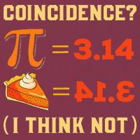 Pi 3,14 = Pie Coincidence I Think Not Pun Math Nerd Pi Day 16oz Travel Tumbler