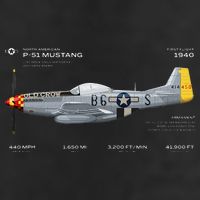 P 51 Mustang WWII Airplane Historic War Bird Fighter 15oz Campfire Ceramic Mug