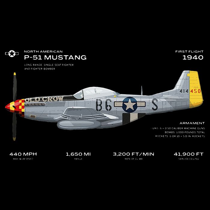 P 51 Mustang WWII Airplane Historic War Bird Fighter Women's V-Neck T-Shirt