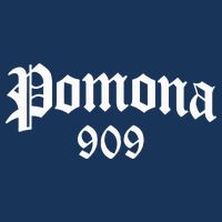 Pomona 909 Area Code Og Chicano Pride Mexican Tattoo Biker Infant Baby Jersey Bodysuit