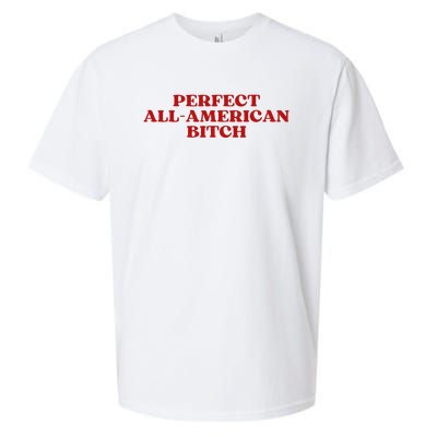 Perfect All American Bitch Aesthetic Sueded Cloud Jersey T-Shirt