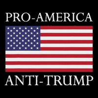 Pro America Anti Trump American Usa Flag Resist Bucket Hat