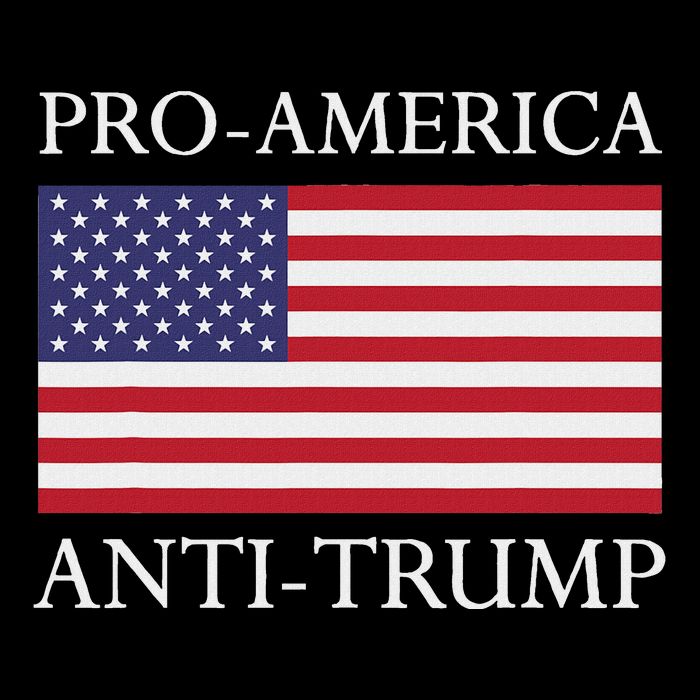 Pro America Anti Trump American Usa Flag Resist Bucket Hat