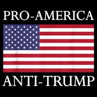 Pro America Anti Trump American Usa Flag Resist Womens T-Shirt