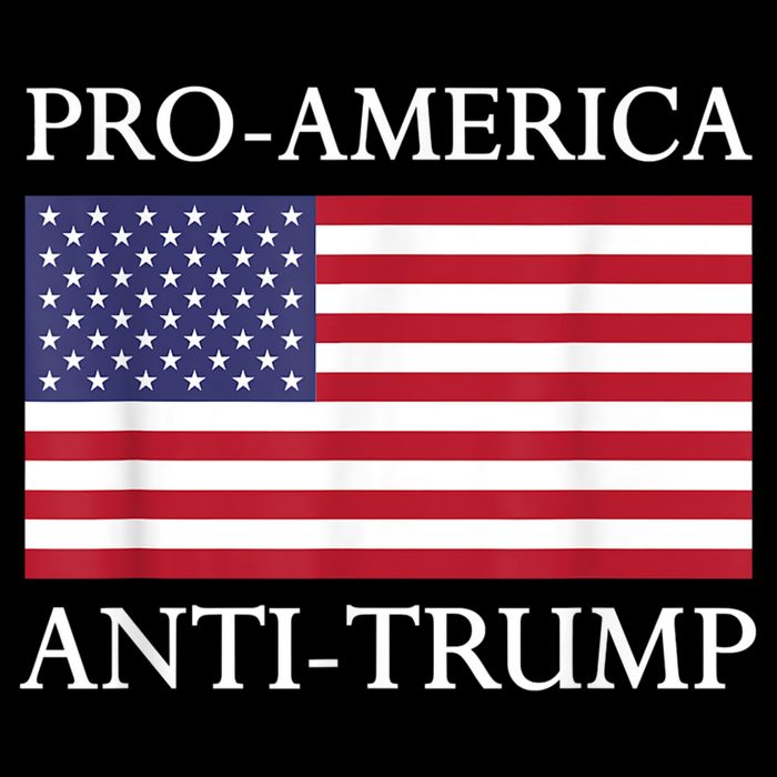 Pro America Anti Trump American Usa Flag Resist Womens T-Shirt