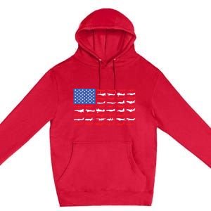 Pilot Airplane American Flag Plane Aviation Gift Premium Pullover Hoodie