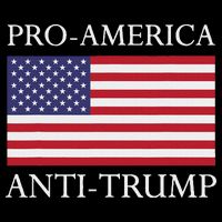 Pro America Anti Trump American Usa Flag Resist Cooling Performance Crew T-Shirt