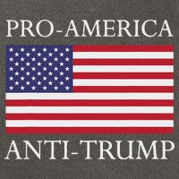 Pro America Anti Trump American Usa Flag Resist Cotton Canvas Backpack