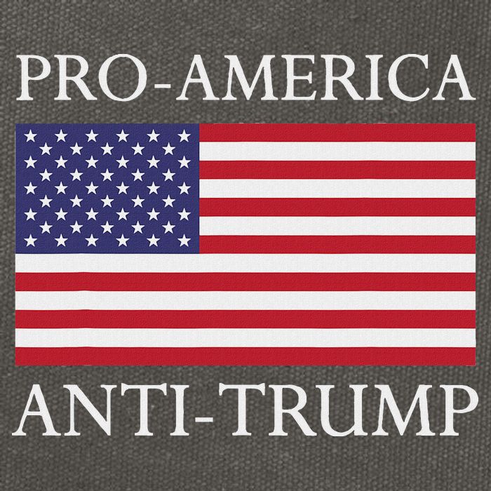 Pro America Anti Trump American Usa Flag Resist Cotton Canvas Backpack