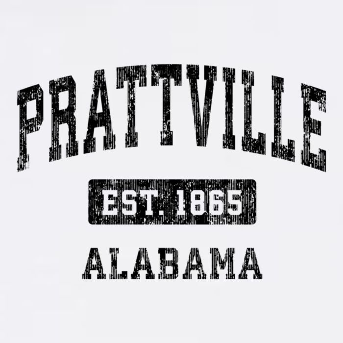 Prattville Alabama Al Vintage Sports Established Design Hat