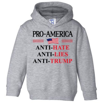 Pro America Anti Trump Hate Lies Resist Sign Anti Trump Flag Toddler Hoodie