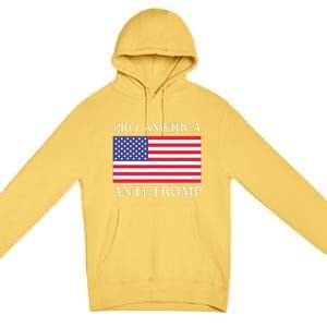 Pro America Antitrump S American Usa Flag Premium Pullover Hoodie