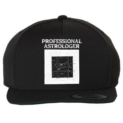 Professional Astrologer Astrology Funny Gift Wool Snapback Cap