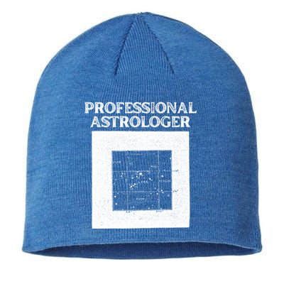 Professional Astrologer Astrology Funny Gift Sustainable Beanie