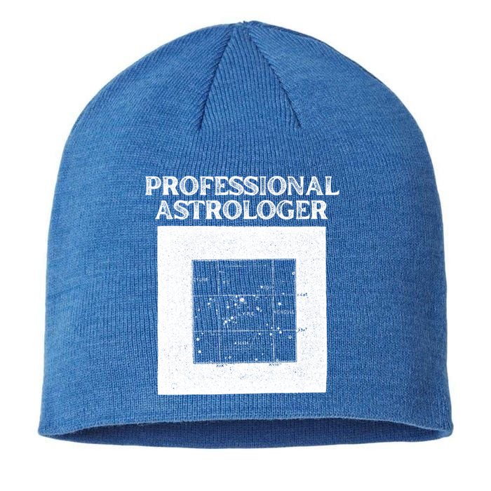 Professional Astrologer Astrology Funny Gift Sustainable Beanie