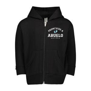 Promovido A Abuelo 2024 Toddler Zip Fleece Hoodie