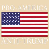 Pro America Anti Trump American Usa Flag Resist Drawstring Bag