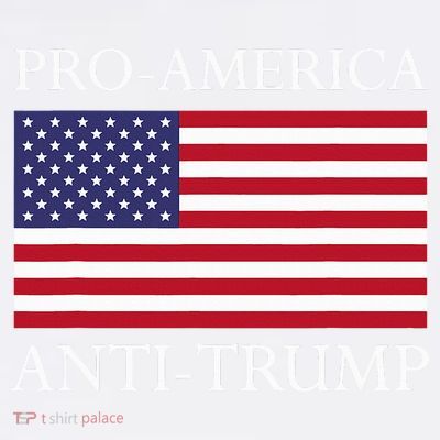 Pro America Anti Trump American Usa Flag Resist T-Shirt