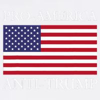 Pro America Anti Trump American Usa Flag Resist Button